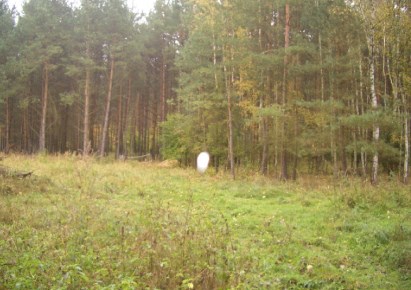 działka na sprzedaż - Chrząstowice, Dębska Kuźnia